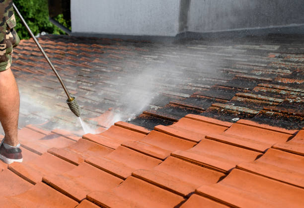 Best Pressure Washing Company Near Me  in Bluffdale, UT